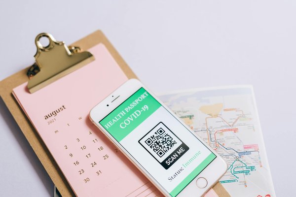 Vacances au bord de mer avec vos animaux : conseils indispensables pour un séjour réussi